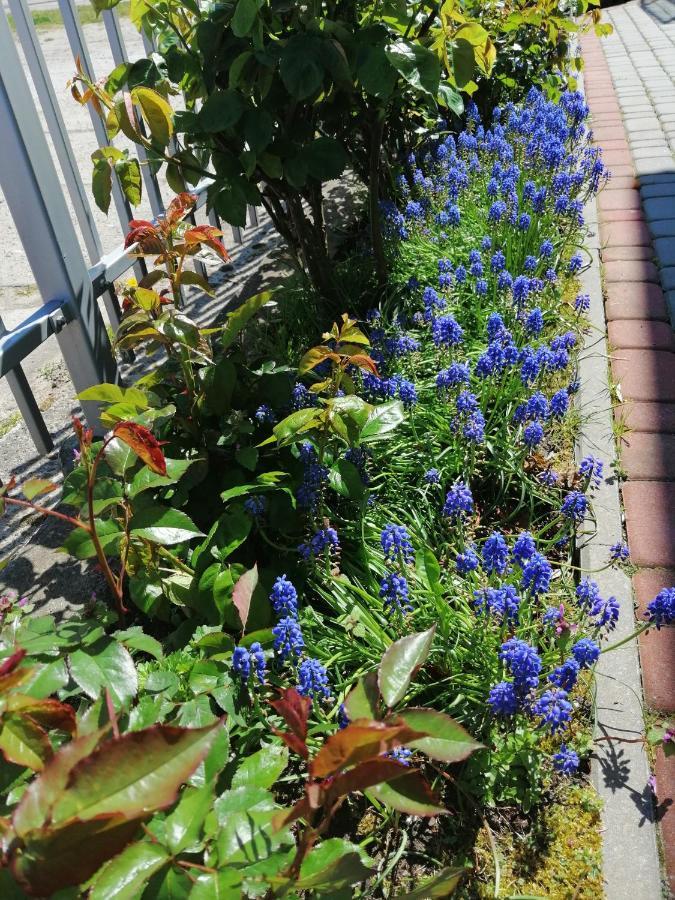 Al Mare-Villa Z Klimatyzacja ウストロニエ・モルスキエ エクステリア 写真